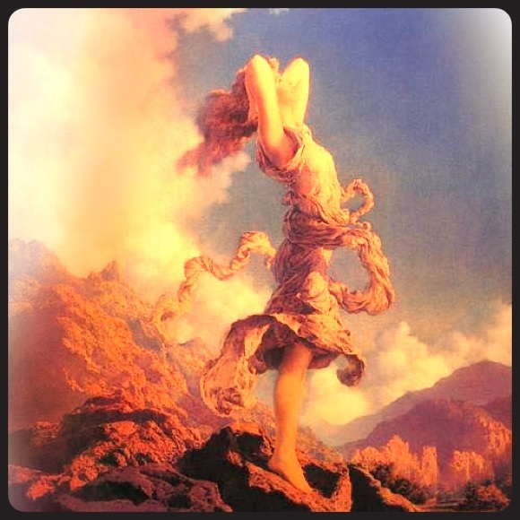 Meet your Posher, Amy - Picture 2 of 2